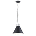 Maxim M25232SABK Satin Aluminum / Black Down Light Pendant