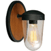 Maxim M30011CDAPBK Antique Pecan / Black Outdoor Entrance Wall Light