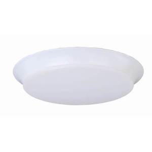 M87597WTWT Profile EE Flush Mount Ceiling Light - White