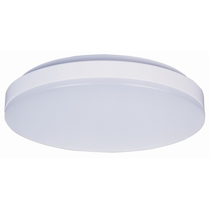 M87582WTWT Profile EE Flush Mount Ceiling Light - White