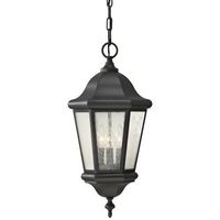  Martinsville Hanging Hanging Lantern - Black