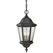 Generation Lighting GLOL5911BK Black Outdoor Hanging Lantern