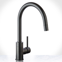 Pull-Out Spray Kitchen Faucet
