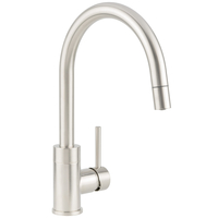 Pull-Out Spray Kitchen Faucet