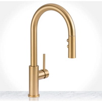  Gemma Pull-Out Spray Kitchen Faucet - Brushed Gold