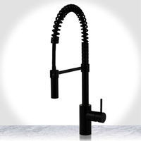 Pull-Out Spray Kitchen Faucet Pull-Out Spray Kitchen Faucet