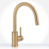 Pull-Out Spray Kitchen Faucet