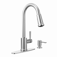  Indi Pull-Out Spray Kitchen Faucet - Chrome