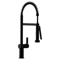 Pull-Out Spray Kitchen Faucet Pull-Out Spray Kitchen Faucet