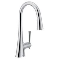  Kurv Pull-Out Spray Kitchen Faucet - Chrome