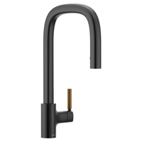 Pull-Out Spray Kitchen Faucet Pull-Out Spray Kitchen Faucet