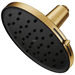 Moen M220R3EPBG Brushed Gold Hand Held Shower