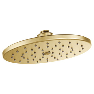 MS112EPBG Shower Head Shower Accessory - Brushed Gold