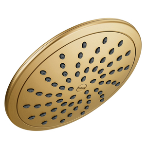 M6345EPBG Shower Head Shower Accessory - Brushed Gold