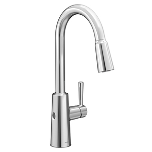 M7402EW Riley Pull-Out Spray Kitchen Faucet - Chrome