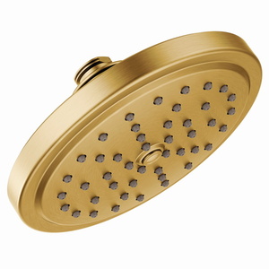 MS176EPBG Shower Head Shower Accessory - Brushed Gold