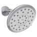 Moen M220R7 Chrome Shower Head