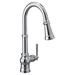 Moen MS72003EV2C Chrome Pull-Out Spray Kitchen Faucet