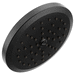 Moen MS178BL Matte Black Shower Head