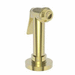 Newport Brass N1291/01 Forever Brass - PVD Faucet Side Spray