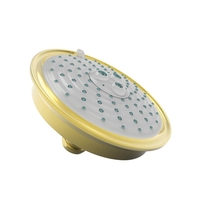  Shower Head Shower Accessory - Forever Brass - PVD