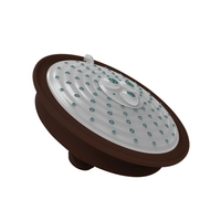 Shower Head