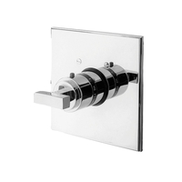 Thermostatic Valve Trim