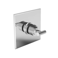 Thermostatic Valve Trim