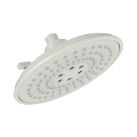  Shower Head Shower Accessory - Biscuit