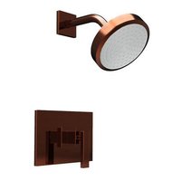 Shower Faucet Trim Kit