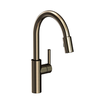  East Linear Pull-Out Spray Kitchen Faucet - Antique Nickel