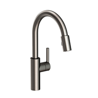  East Linear Pull-Out Spray Kitchen Faucet - Stainless Steel - PVD