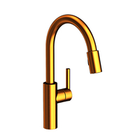 Pull-Out Spray Kitchen Faucet Single Hole