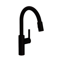 Pull-Out Spray Kitchen Faucet Single Hole