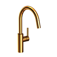  East Linear Pull-Out Spray Kitchen Faucet - Uncoated Polished Brass - Living