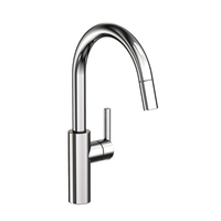 Pull-Out Spray Kitchen Faucet Single Hole