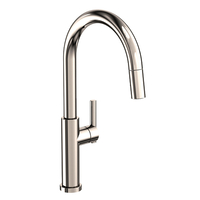 Pull-Out Spray Kitchen Faucet Single Hole