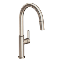 Pull-Out Spray Kitchen Faucet Single Hole