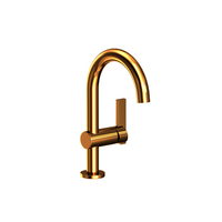  Priya Single Hole Bathroom Faucet - Uncoated Polished Brass - Living