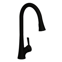 Pull-Out Spray Kitchen Faucet Single Hole Pull-Out Spray Kitchen Faucet Single Hole