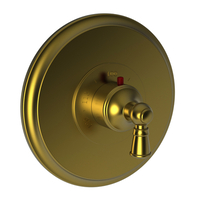 Thermostatic Valve Trim