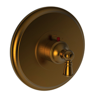 Thermostatic Valve Trim