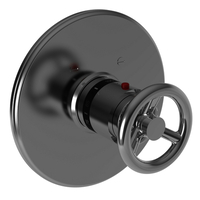  Slater Thermostatic Valve Trim Trim Kit - Polished Chrome