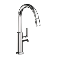 Pull-Out Spray Kitchen Faucet Single Hole