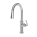 Newport Brass N2940-5103/65 Biscuit Pull-Out Spray Kitchen Faucet