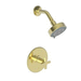 Newport Brass N3-2984BP/01 Forever Brass - PVD Shower Faucet Trim Kit