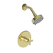 Newport Brass N3-2984BP/03N Uncoated Polished Brass - Living Shower Faucet Trim Kit