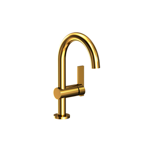 N2403/01 Priya Single Hole Bathroom Faucet - Forever Brass - PVD N2403/01 Priya Single Hole Bathroom Faucet - Forever Brass - PVD