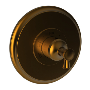N3-2914TR/10 Vander Thermostatic Valve Trim Trim Kit - Satin Bronze - PVD