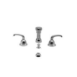 N889/20 Anise Vertical Spray Bidet Faucet - Stainless Steel - PVD